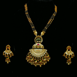 rajwadi