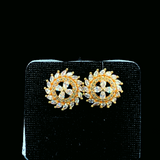 earing